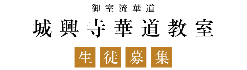 御室流華道 城興寺華道教室生徒募集